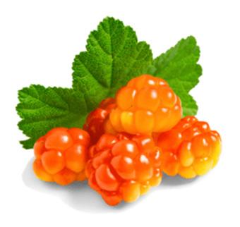 Arctic Cloudberry Seed Oil